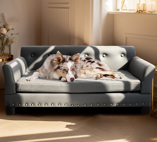 Premium Dog Couch: Extra Large Sofa Bed for Big Dogs