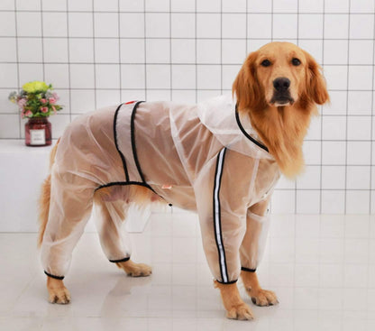 Stylish Dog Raincoats