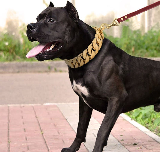 Premium Stainless Steel Dog Chain Collar