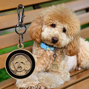 Engraved/Personalized Dog ID Tags With Dog Breeds Design