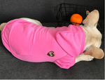 Macaroon Color Heart Logo Hoodie - Pet&Owner Matching Sizes