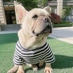 Striped Breathable Cotton T-shirt - Dog & Owner Matching T Shirt