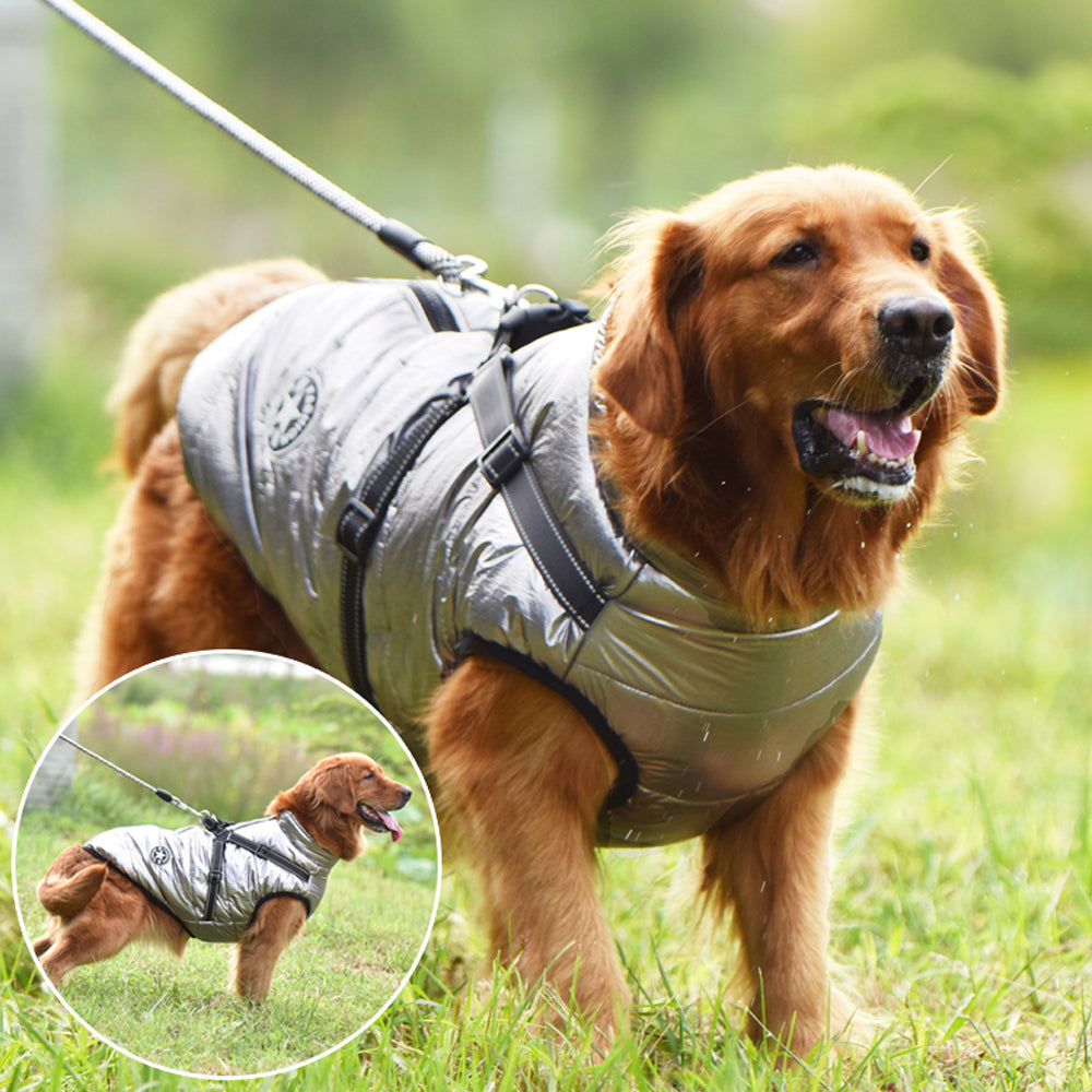 Waterproof Winter Jacket With Built-in Harness For Dog-silver