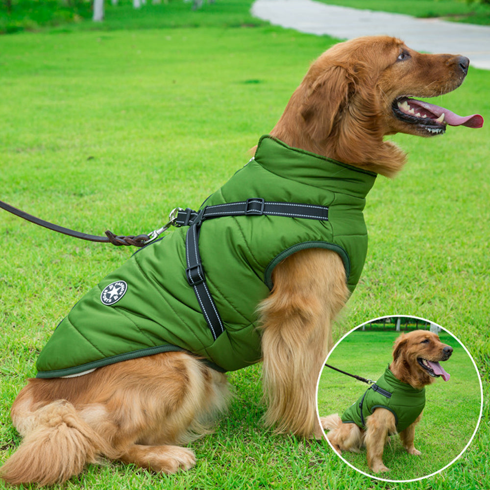 Waterproof Winter Jacket With Built-in Harness For Dogs