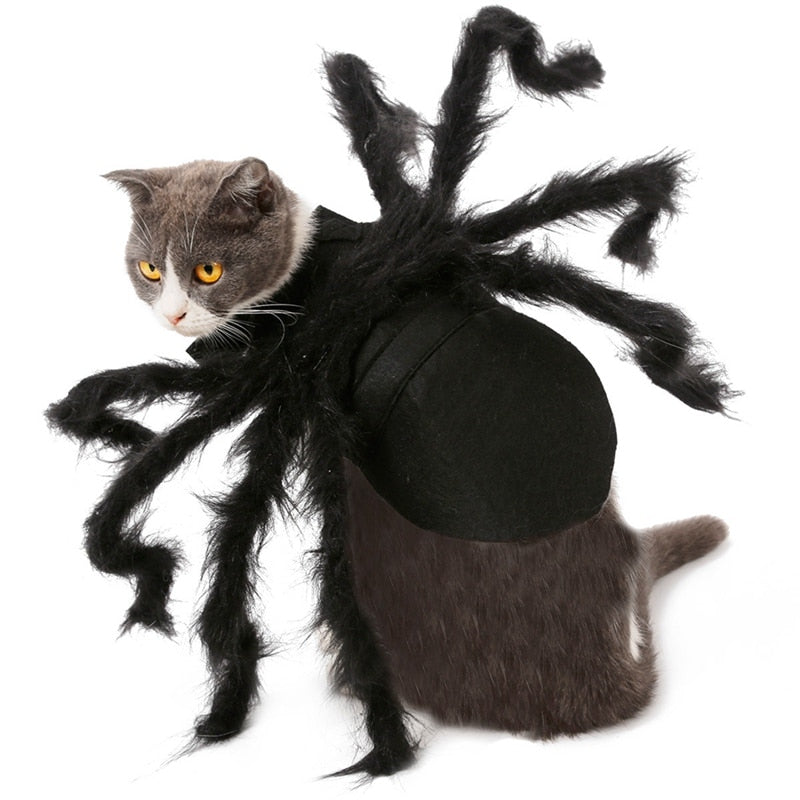 Spooky Black Widow Spider Pet Dog/cat Costume for Halloween Cosplay