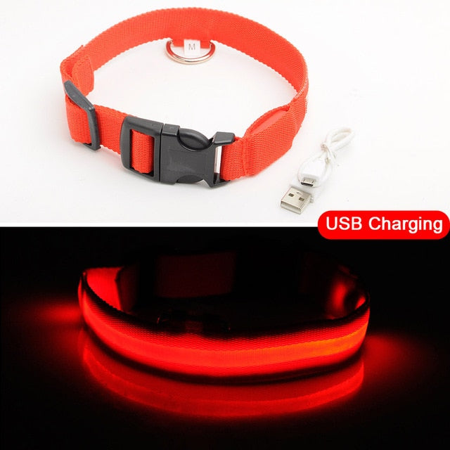 USB Charging LED Pet Collar Anti-Lost/Avoid Car Accident Safety Collar For Dogs/cats