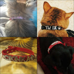 Custom Shinny Rhinestone Pet Dog/cat Collars - Personalized Letters and Charms