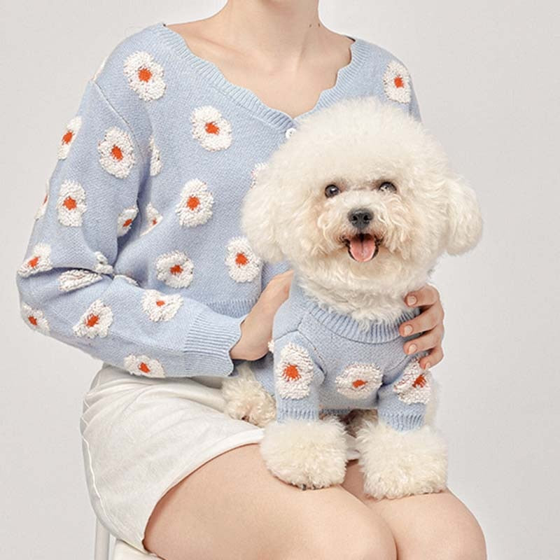 Dog clothes autumn print wool knit sweater dog clothes small fresh and cute dog sweater parent-child clothes