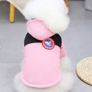 Trendy Warm Jacket For Dogs