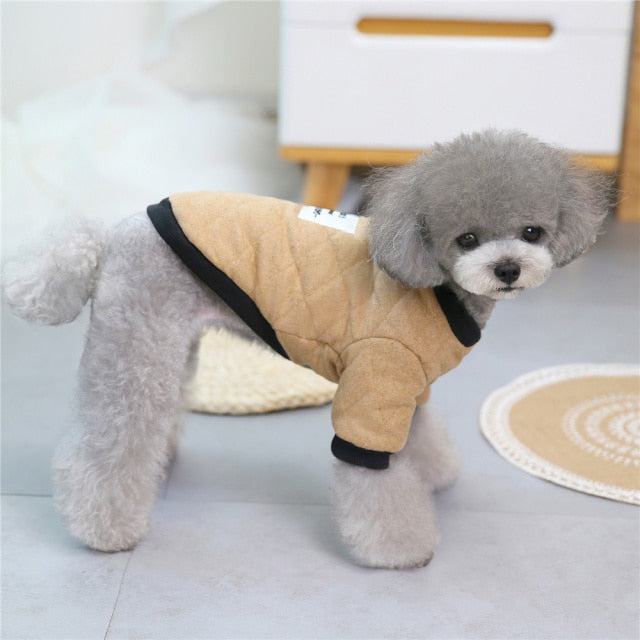 Trendy Warm Jacket For Dogs