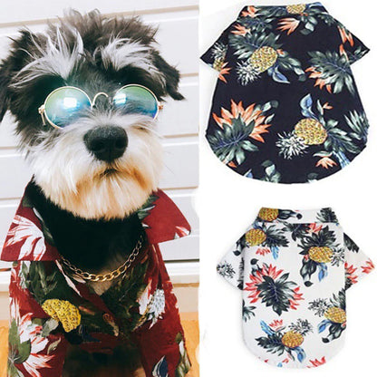 summer dog shirts